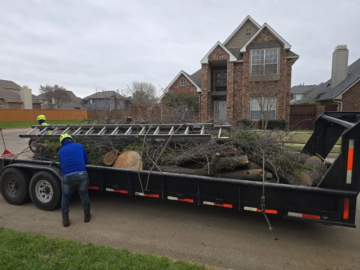 Expert Tree Fertilization with proper safety equipment in Grantville